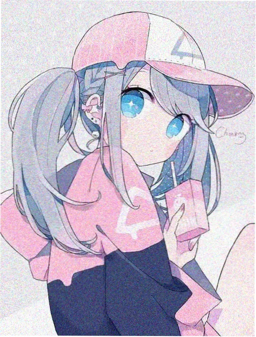 第二十条